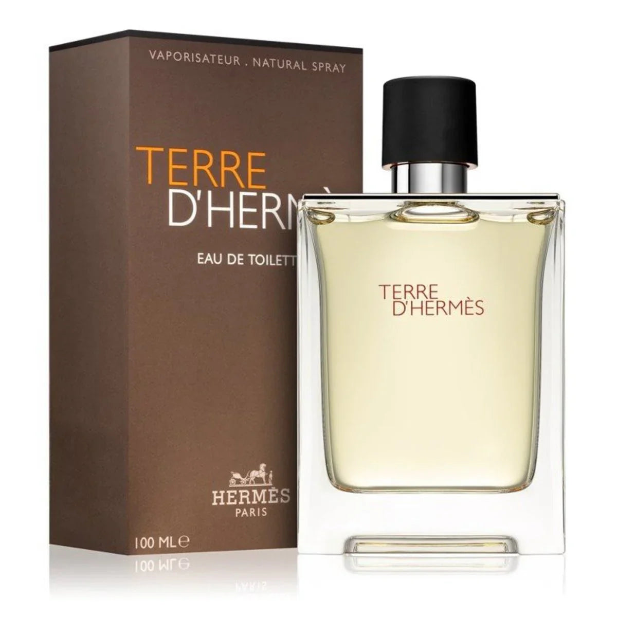 Terre d’Hermès Hermès